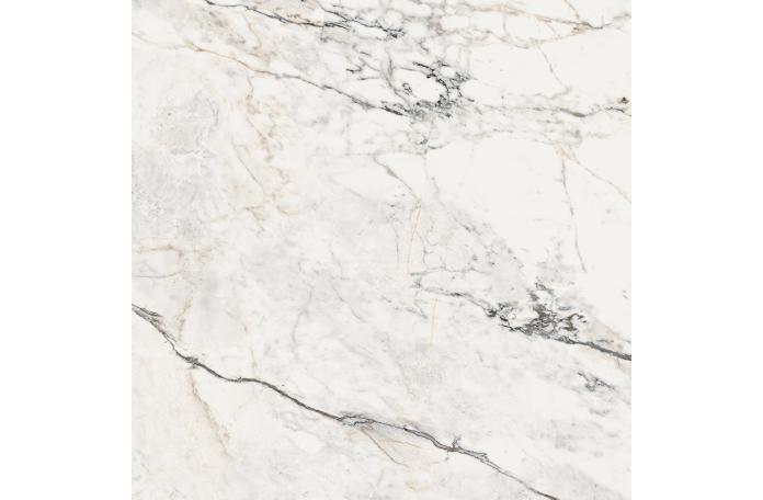 Гранитогрес Aesthetica Paonazzetto 120/120см гланц
