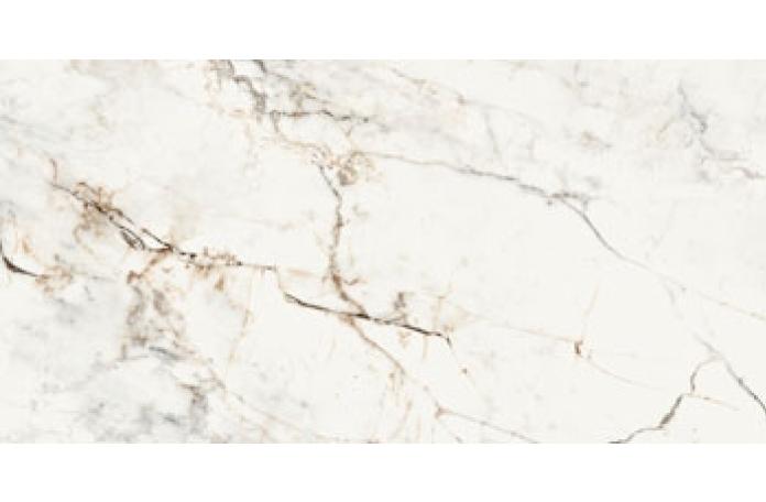 Гранитогрес Aesthetica Paonazzetto 60/120см гланц